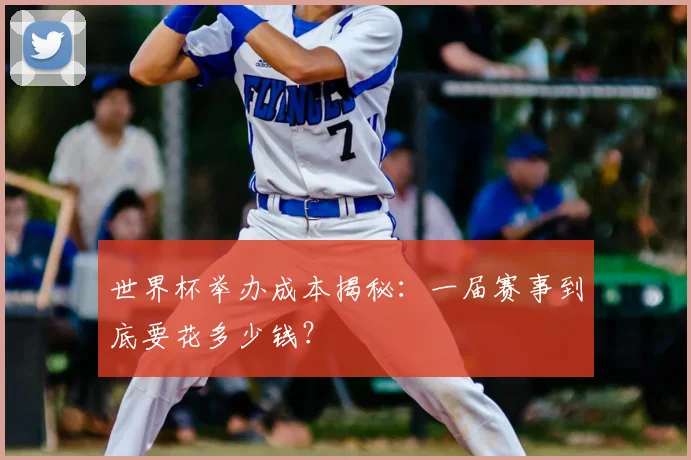 世界杯举办成本揭秘:一届赛事到底要花多少钱?