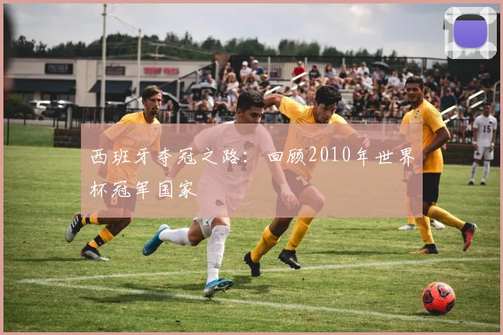 西班牙夺冠之路：回顾2010年世界杯冠军国家