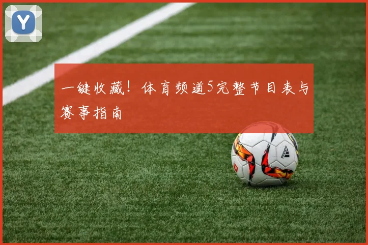 一键收藏!体育频道5完整节目表与赛事指南
