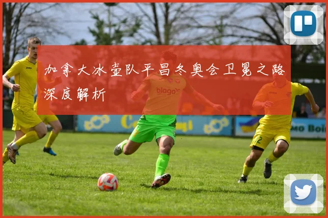 加拿大冰壶队平昌冬奥会卫冕之路深度解析